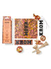 KROM PLASTICITY Kendama - APEX (peach) color. Package extras